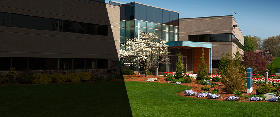 Longmont Landscapers