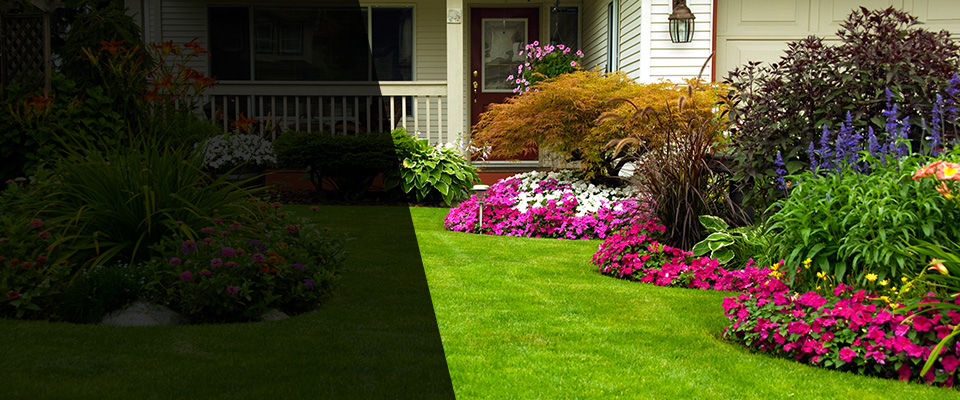 Longmont Landscapers