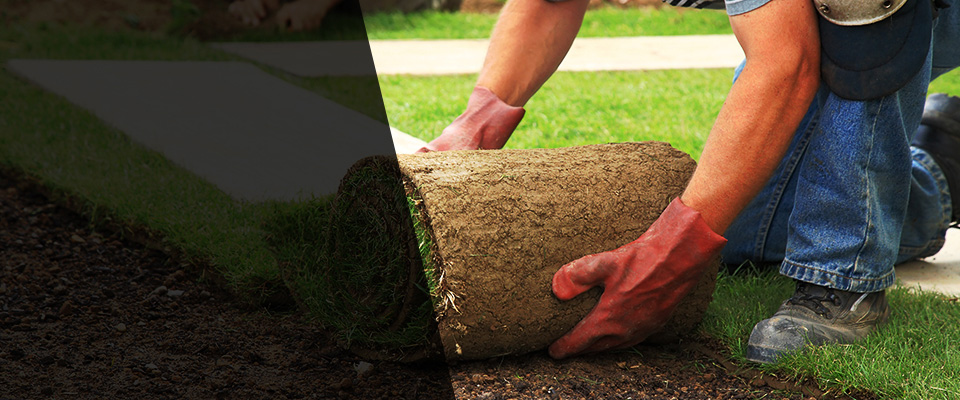 Longmont Landscapers